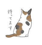 猫詰め（個別スタンプ：21）