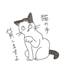 猫詰め（個別スタンプ：29）