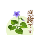 花の挨拶文2（個別スタンプ：9）