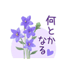 花の挨拶文2（個別スタンプ：12）