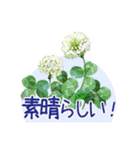 花の挨拶文2（個別スタンプ：20）