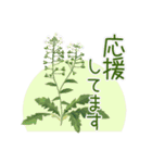 花の挨拶文2（個別スタンプ：21）