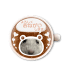 可愛いハムスタンプ♡（個別スタンプ：6）