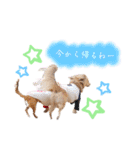 エイトメイスタンプNo.1（個別スタンプ：1）