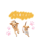 エイトメイスタンプNo.1（個別スタンプ：2）
