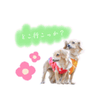 エイトメイスタンプNo.1（個別スタンプ：3）