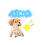 エイトメイスタンプNo.1（個別スタンプ：4）
