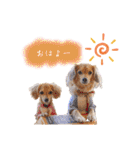 エイトメイスタンプNo.1（個別スタンプ：8）