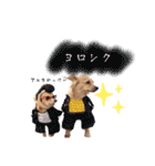エイトメイスタンプNo.1（個別スタンプ：12）