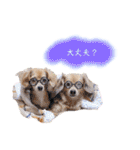 エイトメイスタンプNo.1（個別スタンプ：13）
