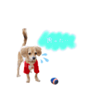 エイトメイスタンプNo.1（個別スタンプ：20）