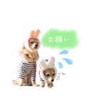 エイトメイスタンプNo.1（個別スタンプ：30）