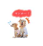 エイトメイスタンプNo.1（個別スタンプ：31）