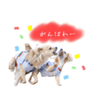 エイトメイスタンプNo.1（個別スタンプ：33）