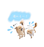 エイトメイスタンプNo.1（個別スタンプ：36）