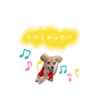 エイトメイスタンプNo.1（個別スタンプ：38）