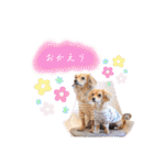 エイトメイスタンプNo.1（個別スタンプ：40）