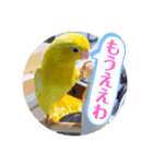 うーちゃんとキョロ（個別スタンプ：7）