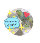 うーちゃんとキョロ（個別スタンプ：8）