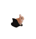 豆太すたんぷ（個別スタンプ：30）