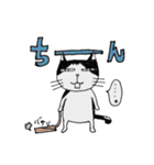 ハチワレ君の日常（個別スタンプ：11）