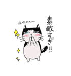 ハチワレ君の日常（個別スタンプ：33）