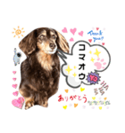 ギルボさんのスタンプ9（個別スタンプ：1）