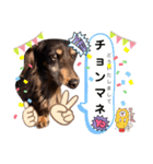 ギルボさんのスタンプ9（個別スタンプ：4）