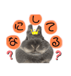 あんちゃんのまいにち♡（個別スタンプ：2）