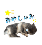 あんちゃんのまいにち♡（個別スタンプ：3）