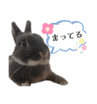 あんちゃんのまいにち♡（個別スタンプ：5）
