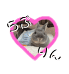 あんちゃんのまいにち♡（個別スタンプ：10）