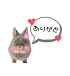 あんちゃんのまいにち♡（個別スタンプ：12）