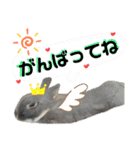 あんちゃんのまいにち♡（個別スタンプ：14）