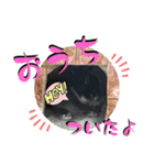 あんちゃんのまいにち♡（個別スタンプ：17）