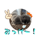 あんちゃんのまいにち♡（個別スタンプ：23）