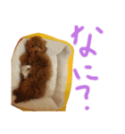 かわいいもじゃスタンプ♥️（個別スタンプ：2）