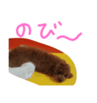 かわいいもじゃスタンプ第二弾（個別スタンプ：1）