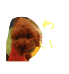 かわいいもじゃスタンプ第二弾（個別スタンプ：2）