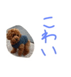かわいいもじゃスタンプ第二弾（個別スタンプ：3）