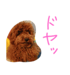 かわいいもじゃスタンプ第二弾（個別スタンプ：6）