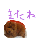 かわいいもじゃスタンプ第二弾（個別スタンプ：9）