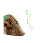 かわいいもじゃスタンプ第二弾（個別スタンプ：16）