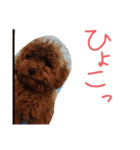 かわいいもじゃスタンプ第二弾（個別スタンプ：18）