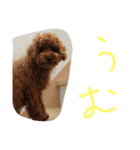 かわいいもじゃスタンプ第二弾（個別スタンプ：20）