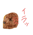 かわいいもじゃスタンプ第二弾（個別スタンプ：22）