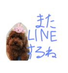かわいいもじゃスタンプ第二弾（個別スタンプ：24）