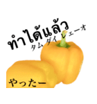 黄 パプリカ です タイ語 ピーマン 野菜（個別スタンプ：8）