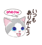 いつもの猫☆いつものあいさつ（個別スタンプ：2）