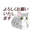 いつもの猫☆いつものあいさつ（個別スタンプ：4）